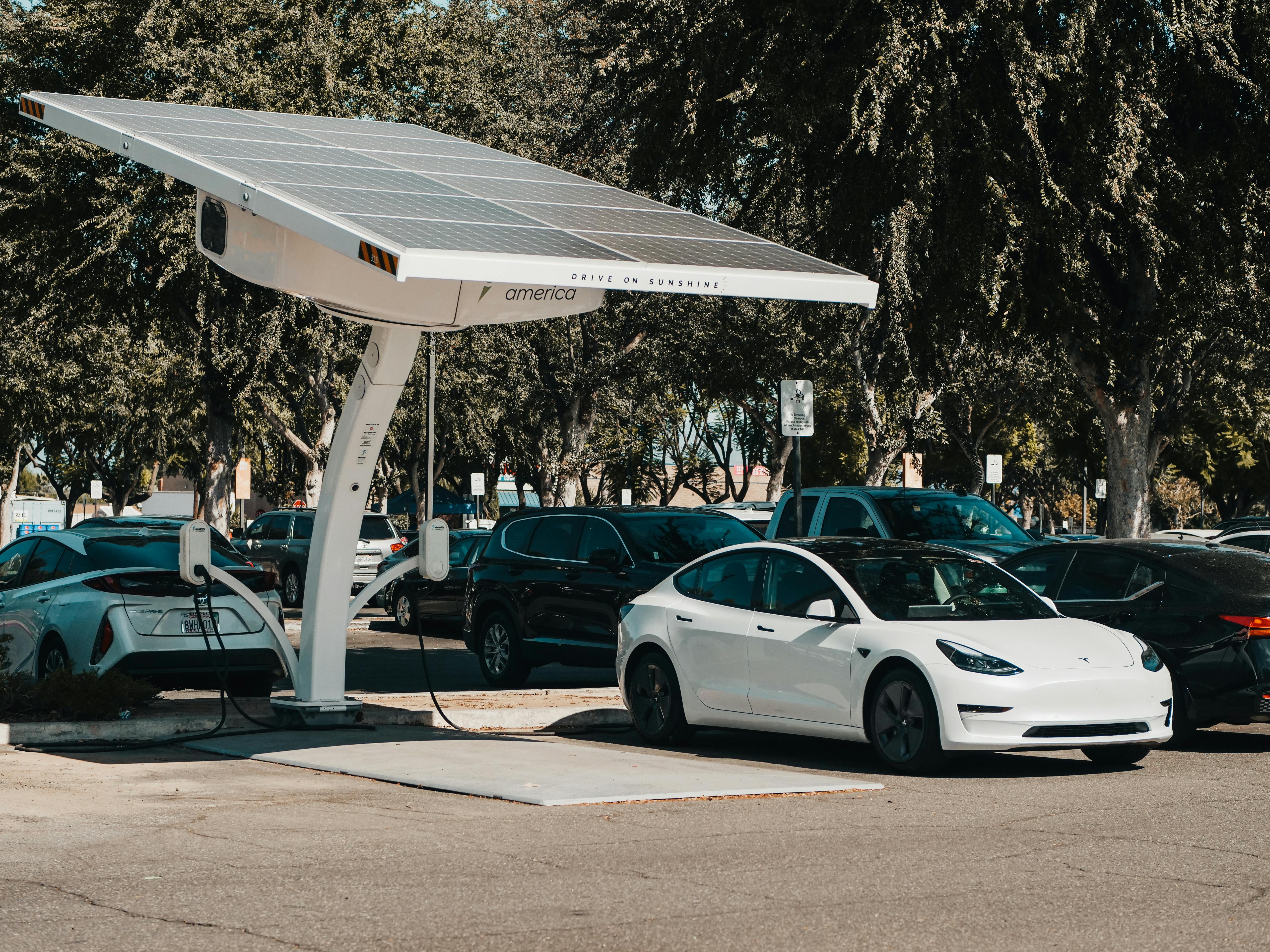 Different Electric Cars Charging